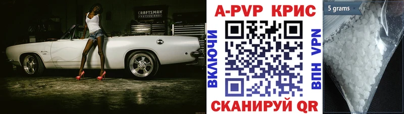 Alfa_PVP СК Новозыбков