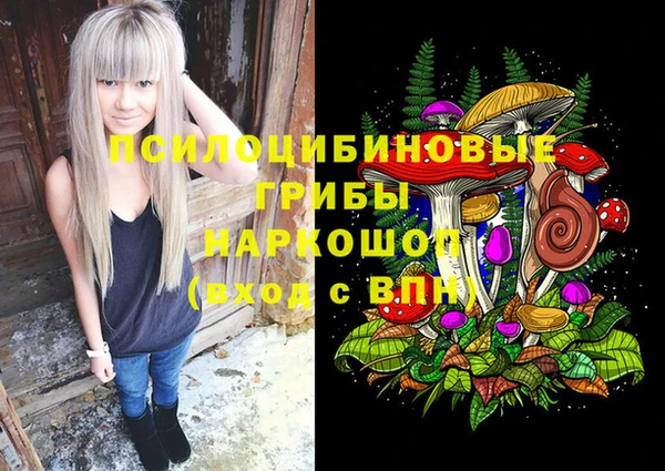 хмурый Бронницы