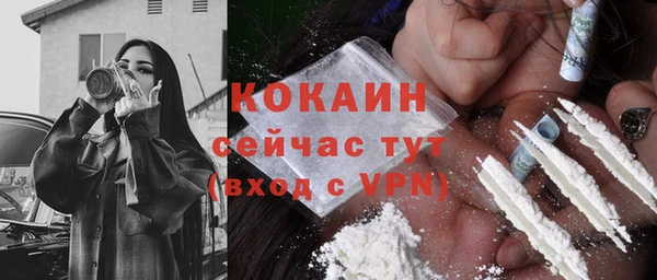 молекула духа Саяногорск