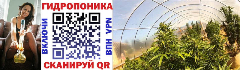Конопля индика  Новозыбков 